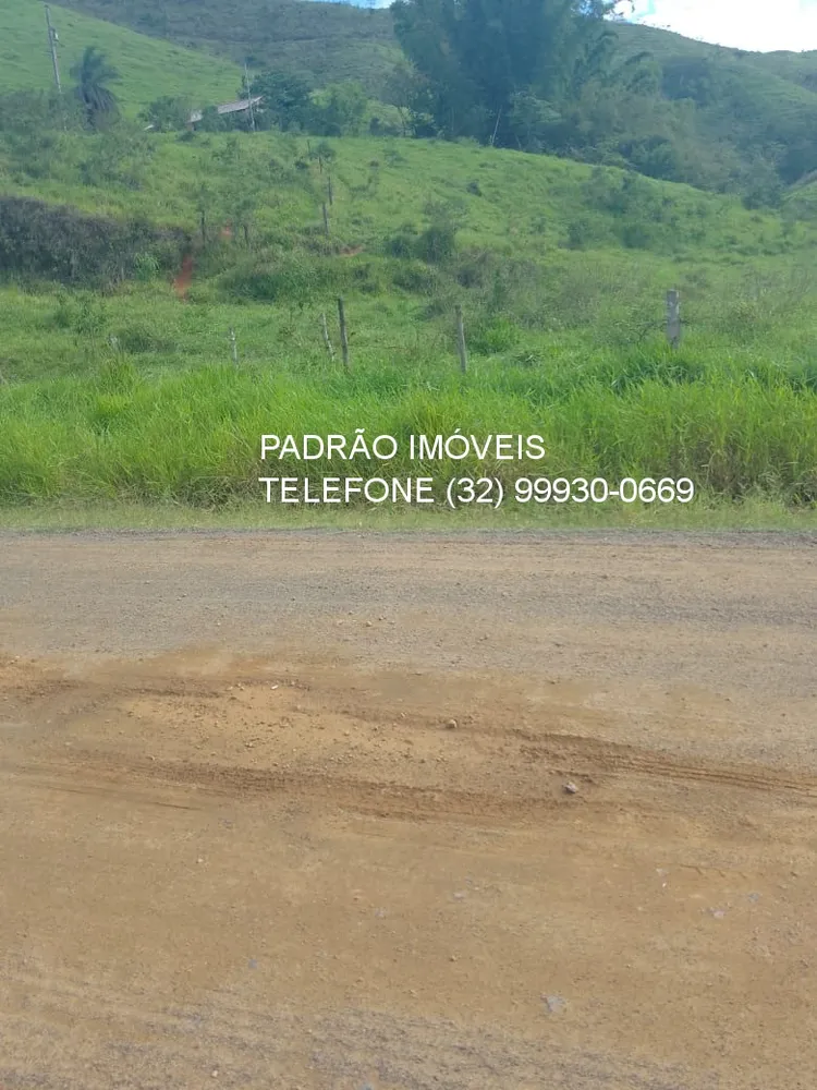 Fazenda - Foto 1