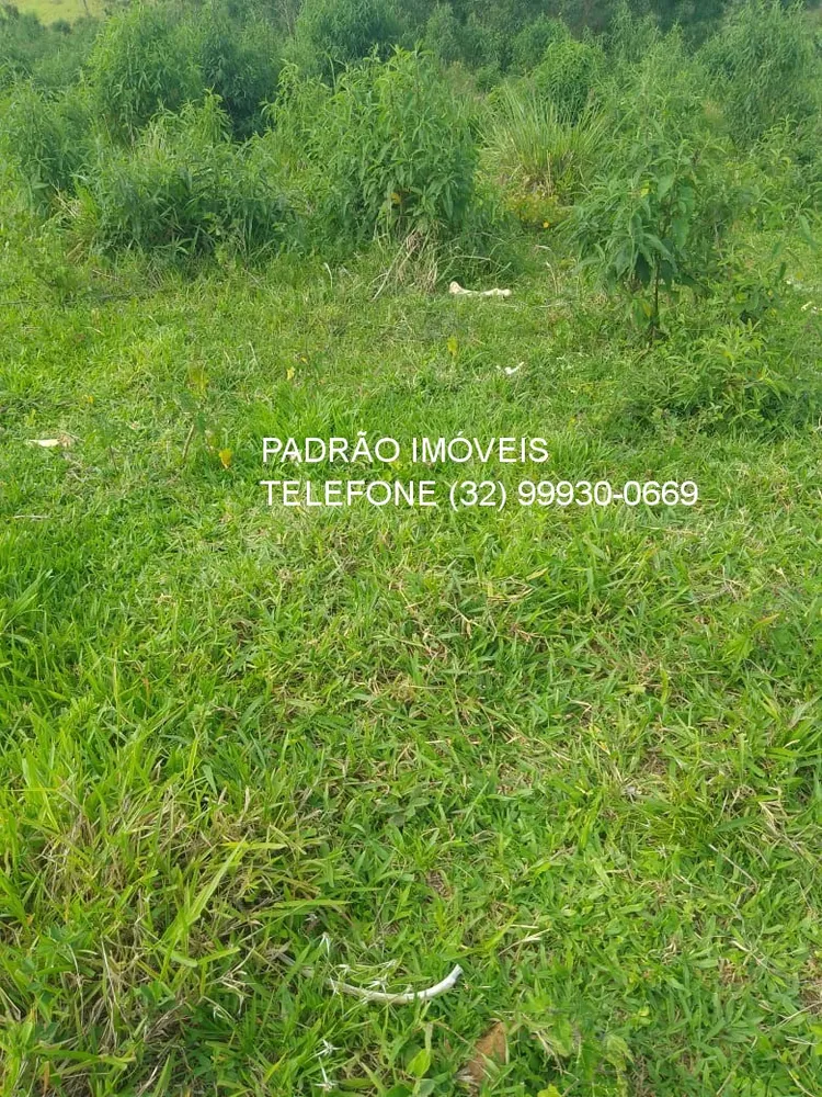 Fazenda - Foto 5