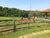 Sítio, 3 quartos, 2 hectares - Foto 16