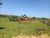 Sítio, 3 quartos, 2 hectares - Foto 23