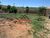 Chácara, 1 quarto, 1600 m² - Foto 1