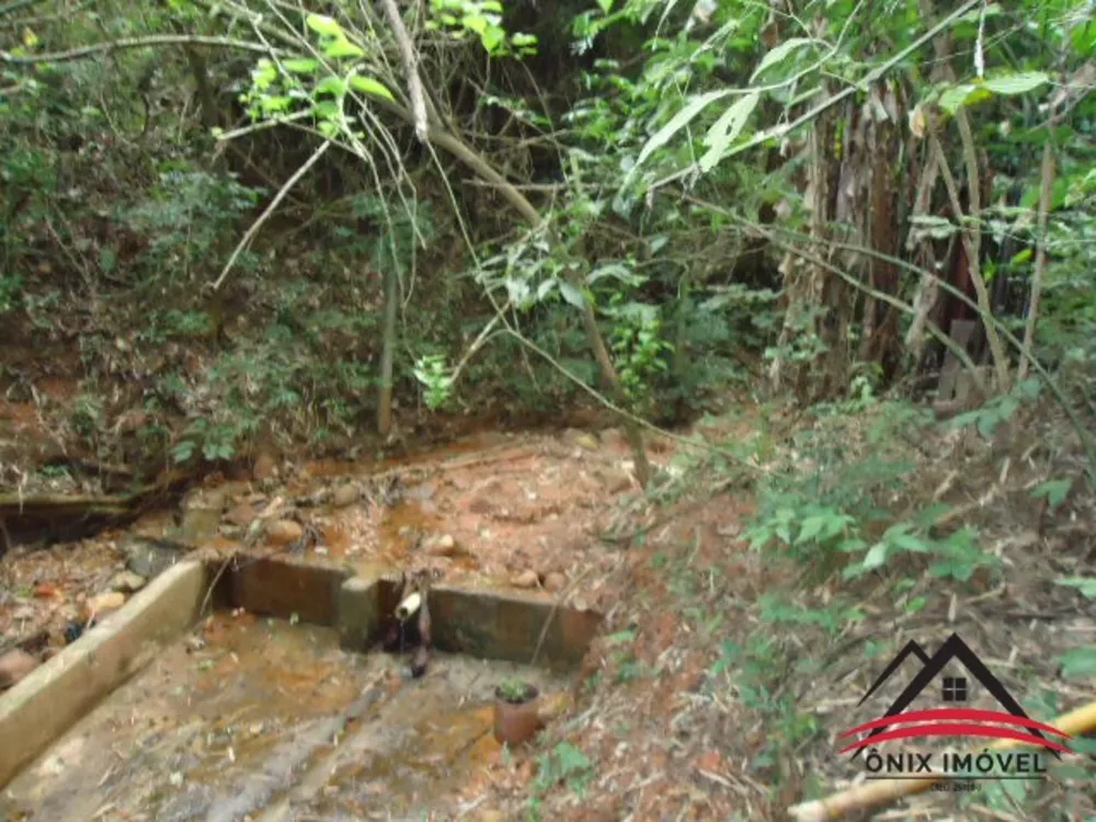 Fazenda à venda e aluguel com 3 quartos, 5000m² - Foto 3