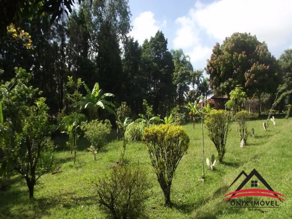 Fazenda à venda com 3 quartos, 5000m² - Foto 3