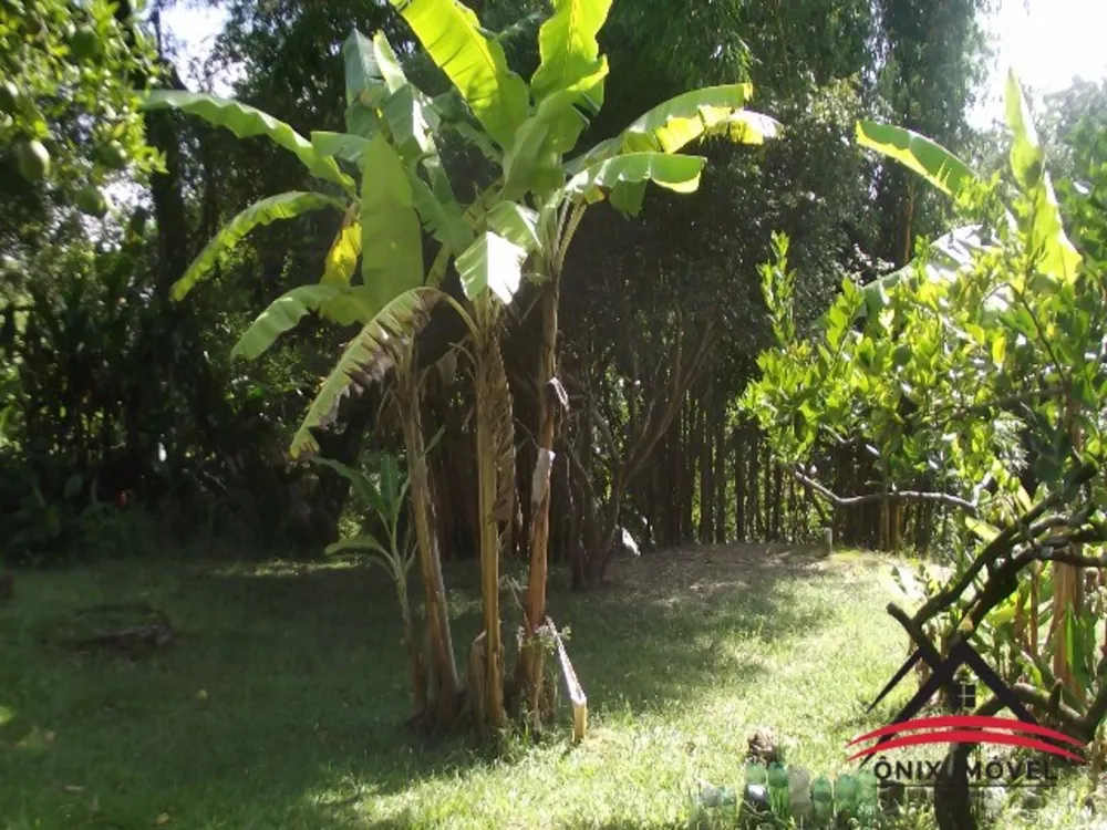 Fazenda à venda com 3 quartos, 5000m² - Foto 5