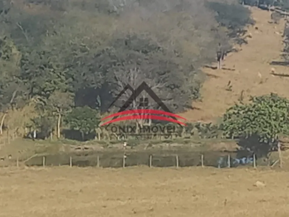 Sítio, 3 quartos, 2 m² - Foto 4