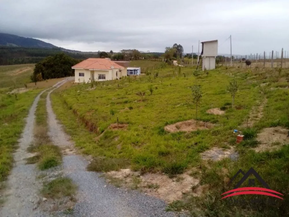 Fazenda à venda com 3 quartos, 300m² - Foto 3