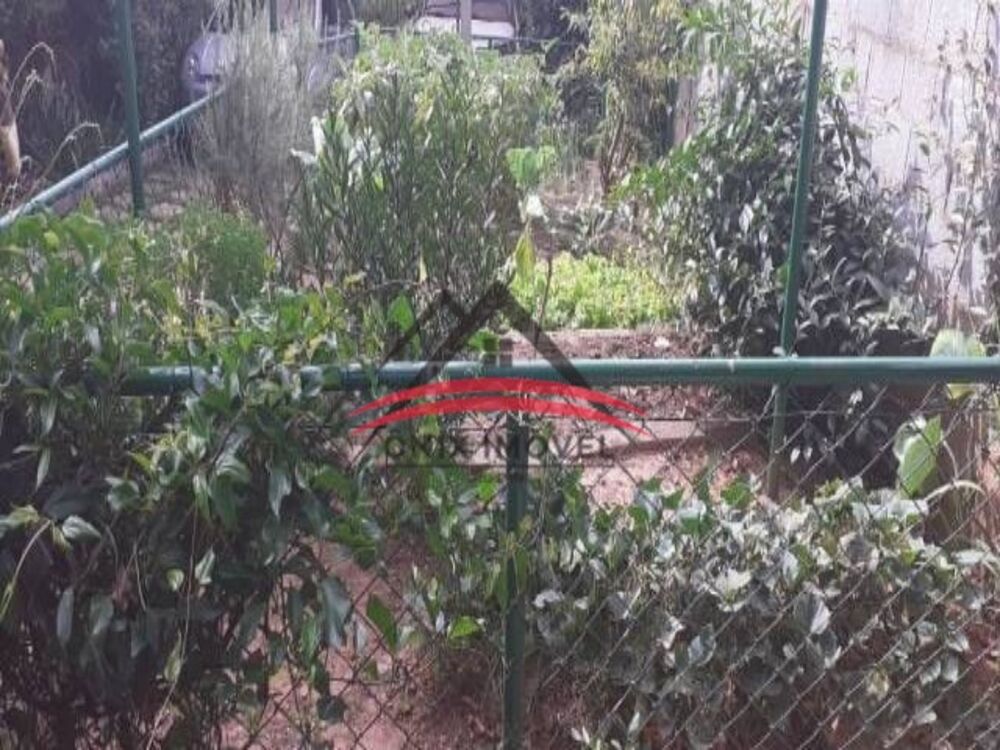 Chácara, 2 quartos, 1020 m² - Foto 7