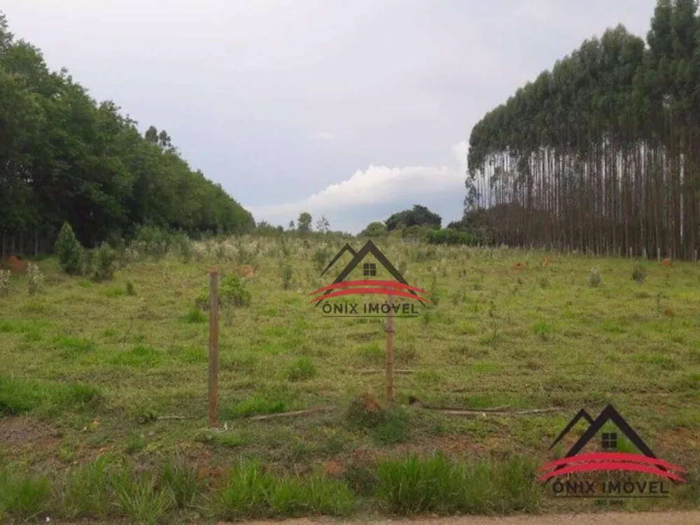 Terreno, 2 hectares - Foto 4