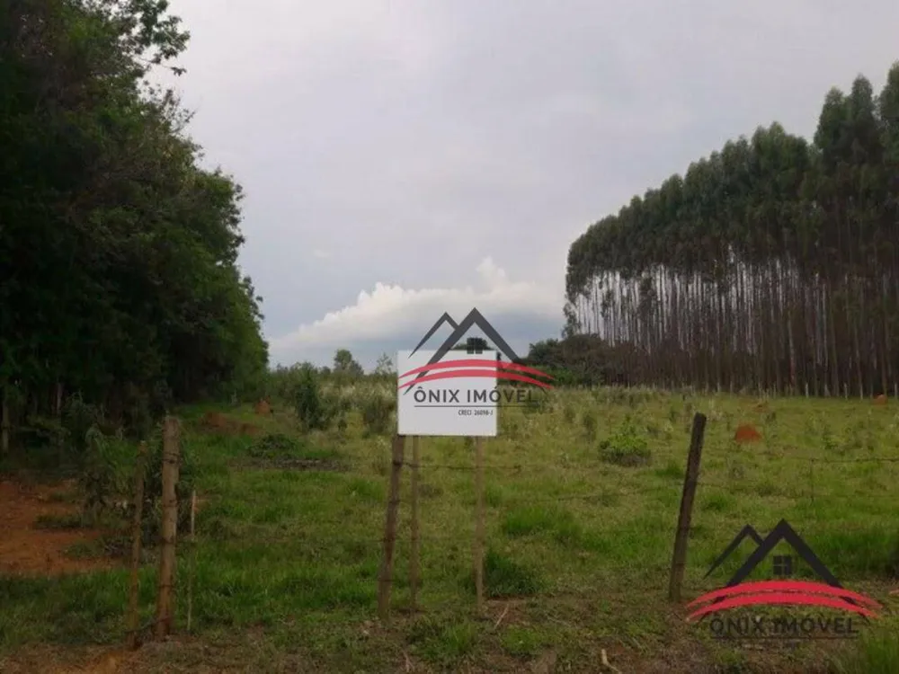 Terreno, 2 hectares - Foto 2