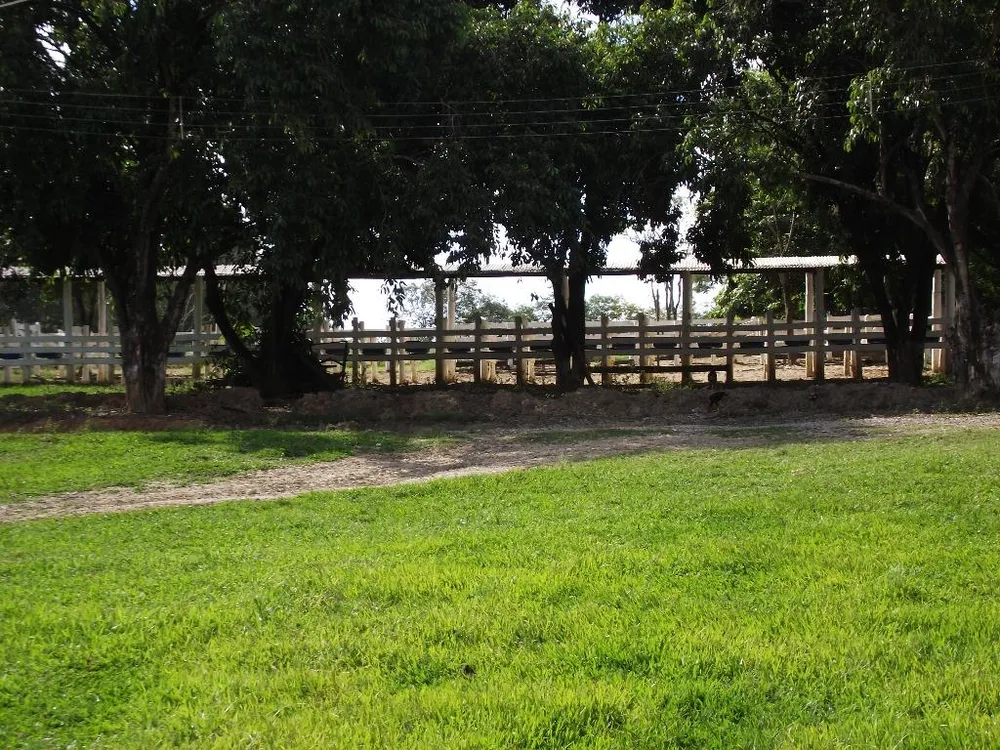 Fazenda, 33 hectares - Foto 4