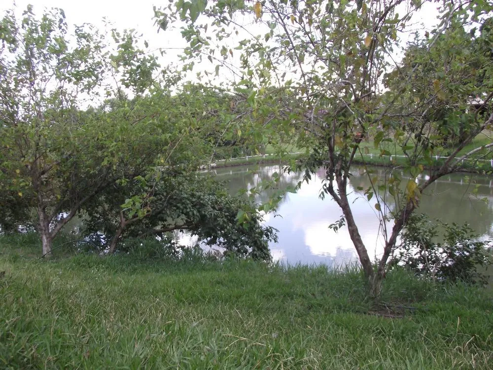 Fazenda, 33 hectares - Foto 2