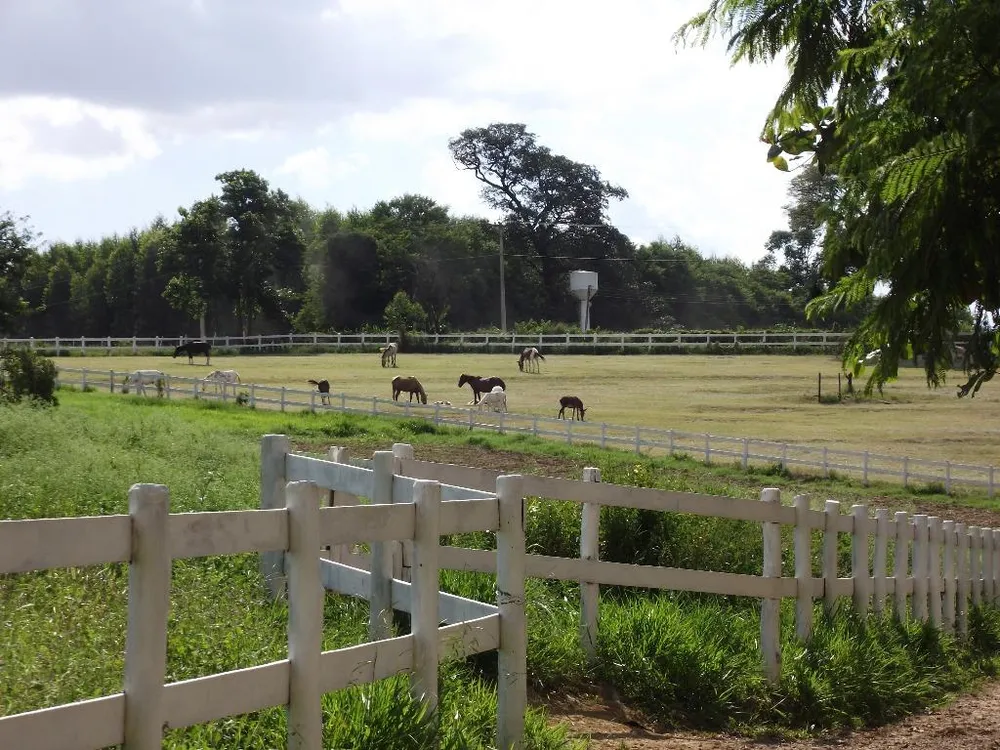Fazenda, 33 hectares - Foto 3