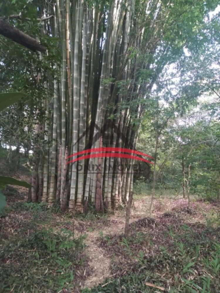 Chácara, 4 quartos - Foto 10