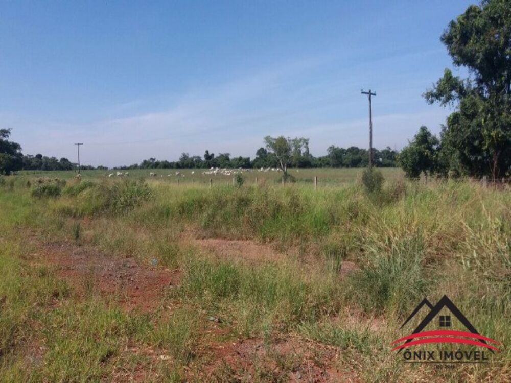 Sítio, 48 hectares - Foto 1