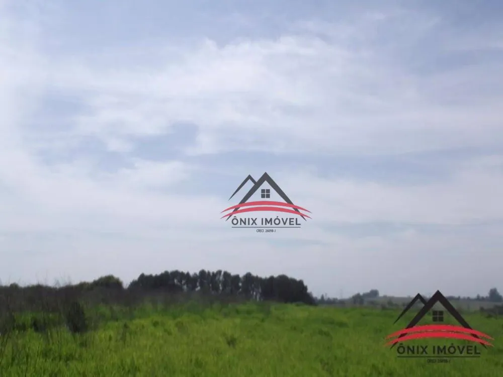 Terreno, 4 hectares - Foto 4