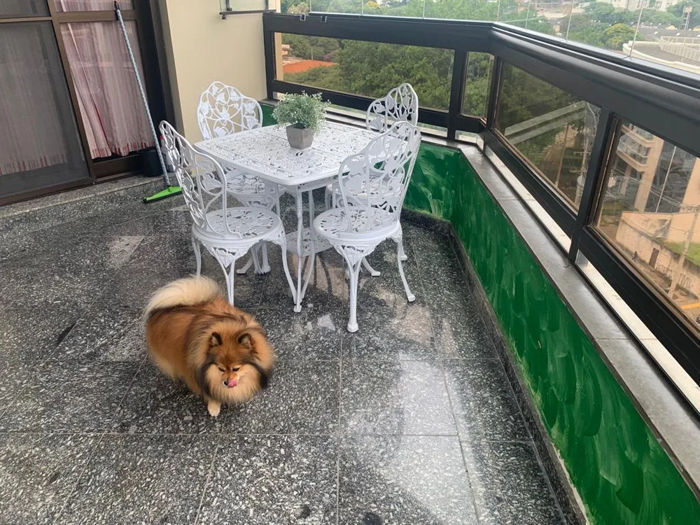 Apartamento, 4 quartos, 420 m² - Foto 12