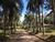 Sítio, 5 quartos, 22 hectares - Foto 3