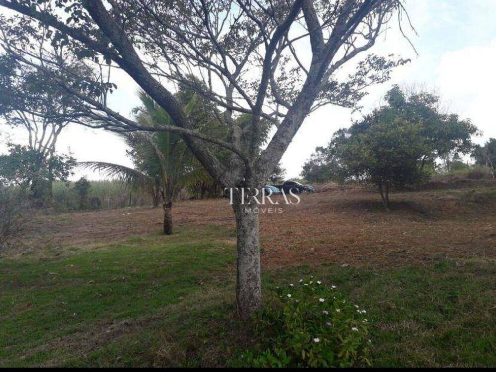 Sítio, 2 hectares - Foto 11