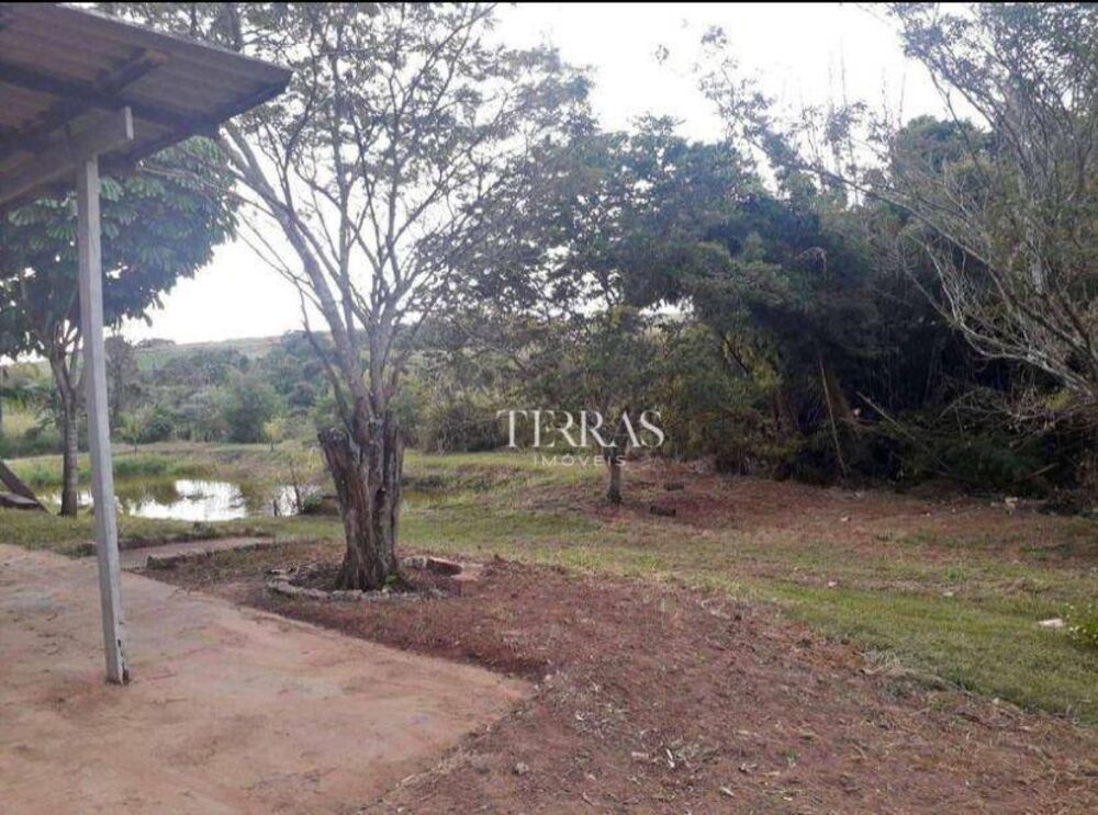 Sítio, 2 hectares - Foto 7