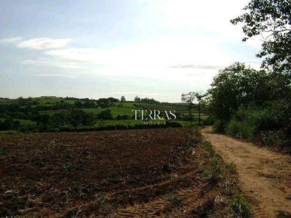 Sítio, 2 hectares - Foto 3