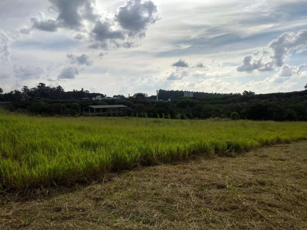 Terreno, 4 hectares - Foto 2