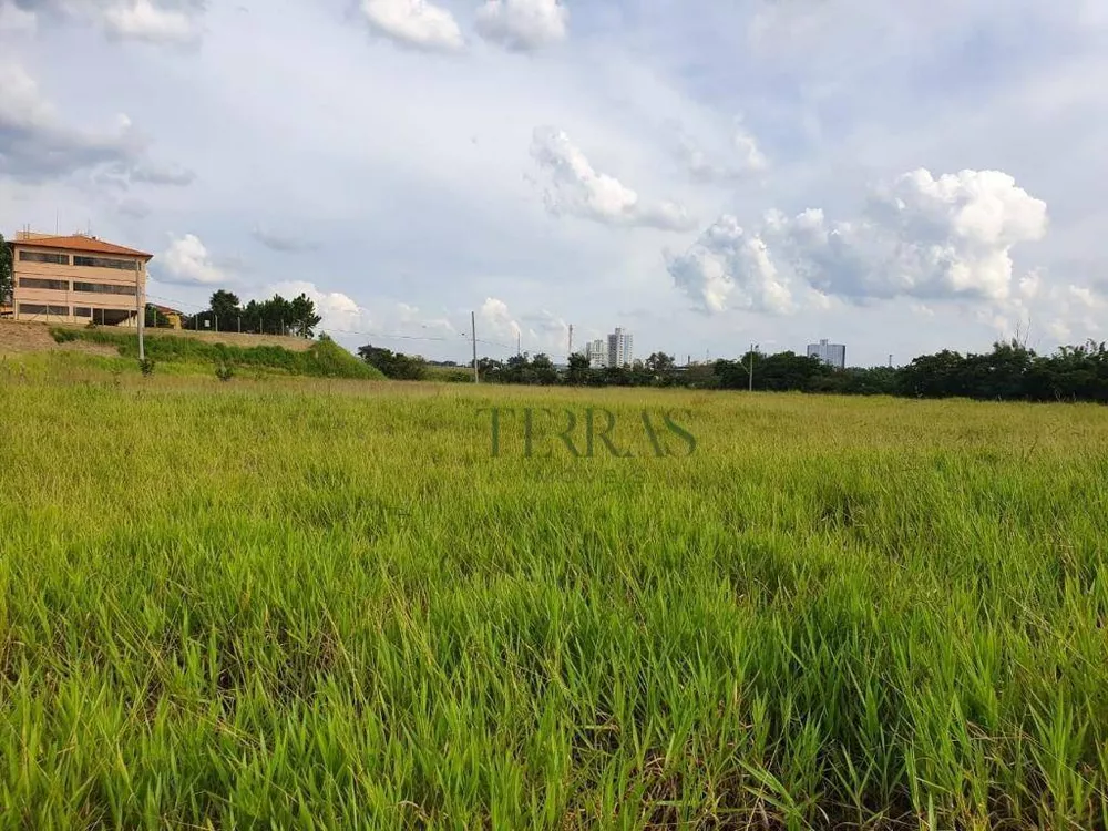 Terreno, 4 hectares - Foto 4