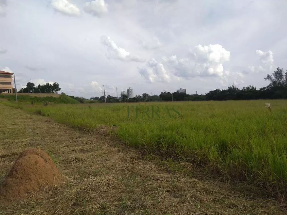 Terreno, 4 hectares - Foto 1