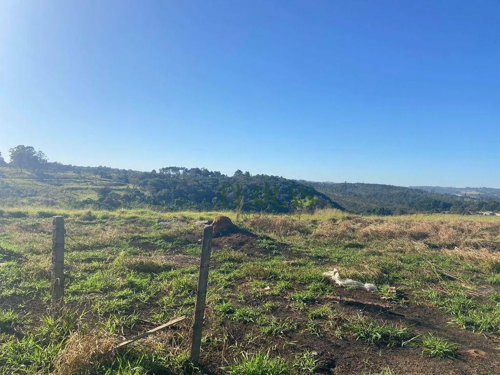 Terreno, 5 hectares - Foto 3