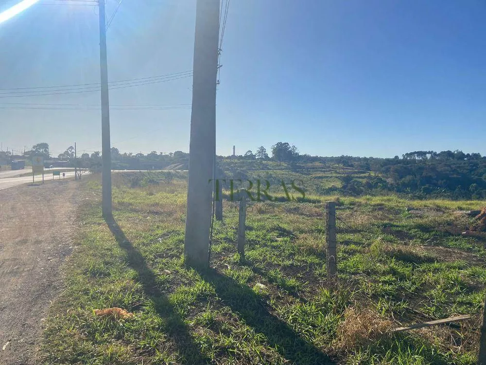 Terreno, 5 hectares - Foto 3