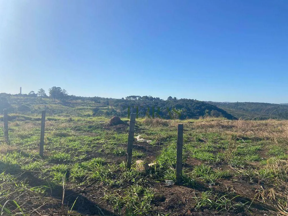 Terreno, 5 hectares - Foto 4