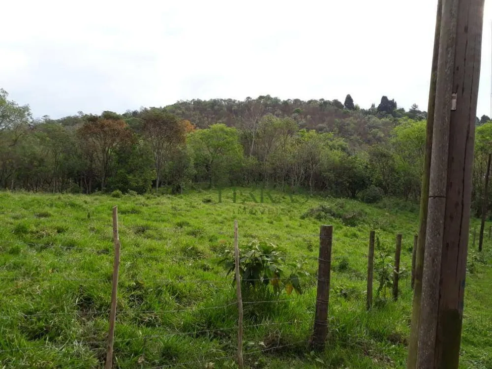 Loteamento e Condomínio, 10000 m² - Foto 7
