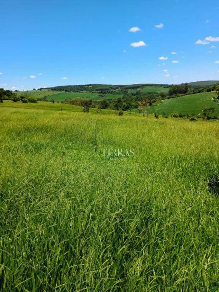 Loteamento e Condomínio, 12 hectares - Foto 6