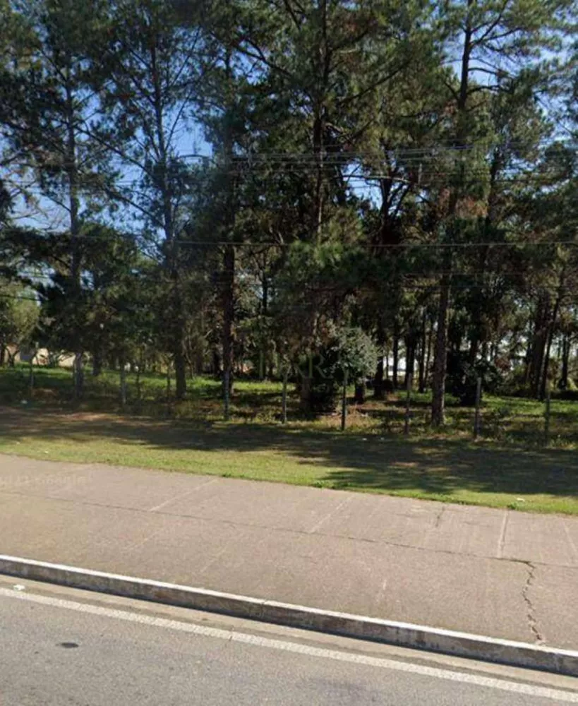 Terreno, 2 hectares - Foto 3