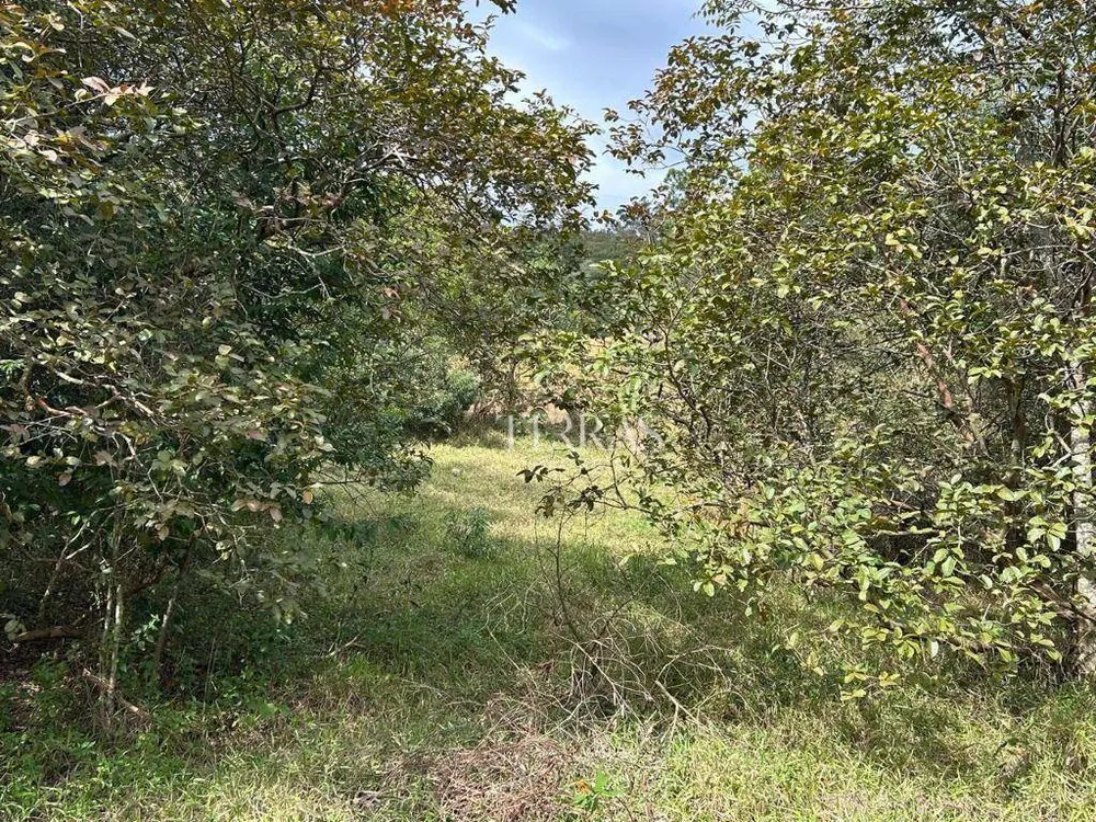 Loteamento e Condomínio, 10000 m² - Foto 5