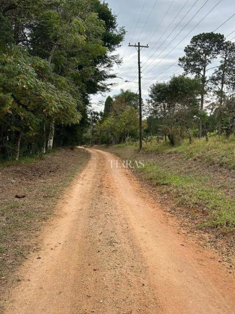 Loteamento e Condomínio, 10000 m² - Foto 2