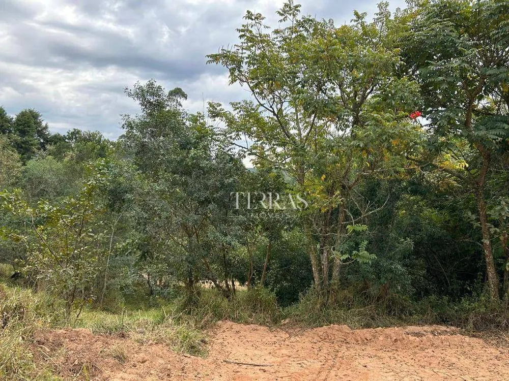 Loteamento e Condomínio, 10000 m² - Foto 1