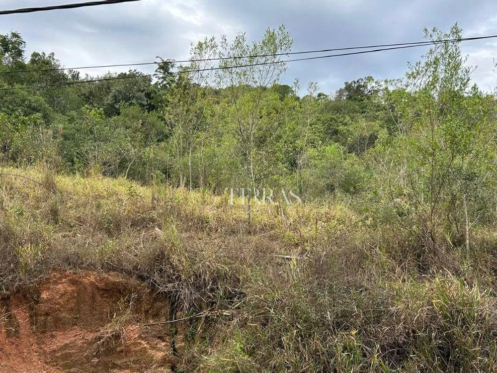 Loteamento e Condomínio, 10000 m² - Foto 3