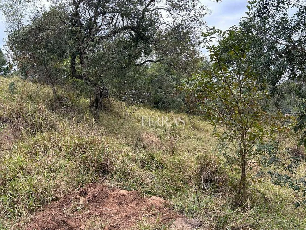 Loteamento e Condomínio, 10000 m² - Foto 2