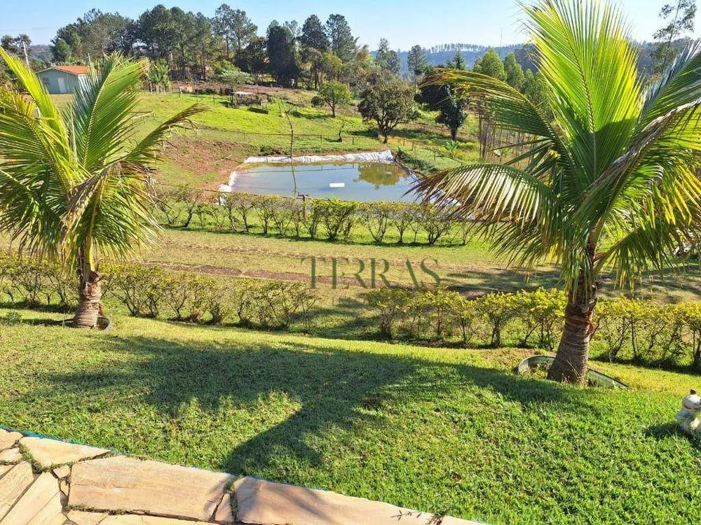 Chácara, 4 quartos, 3 hectares - Foto 2