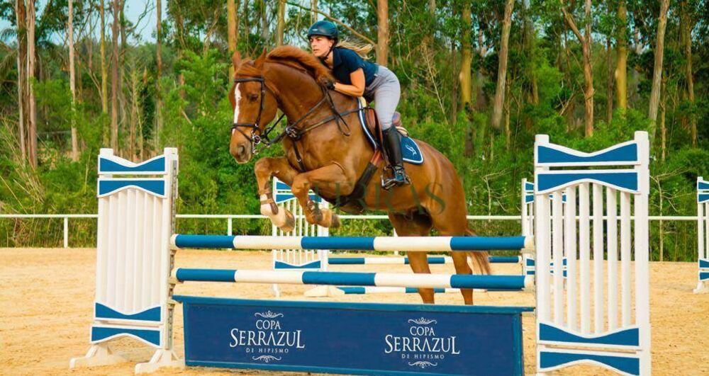 Loteamento e Condomínio, 1450 m² - Foto 2