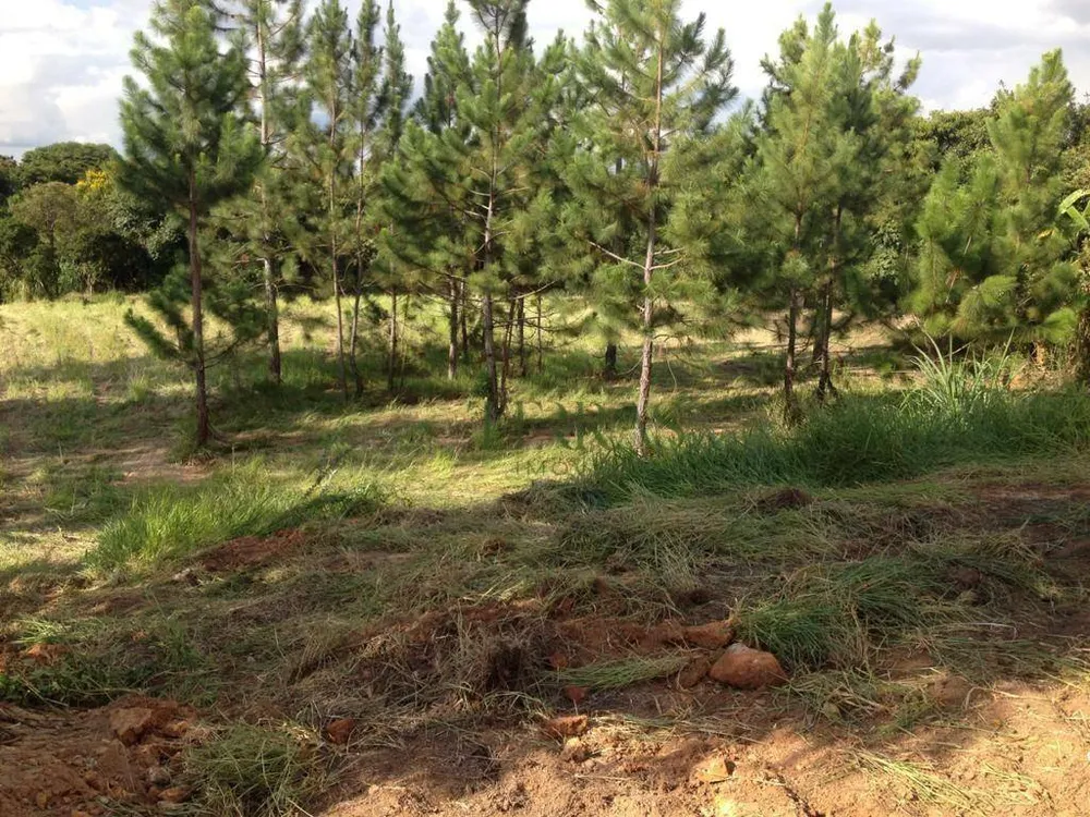 Loteamento e Condomínio, 2906 m² - Foto 3