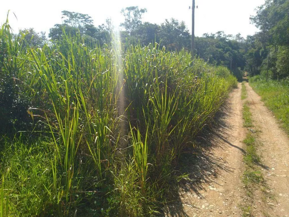 Loteamento e Condomínio, 1 hectares - Foto 3