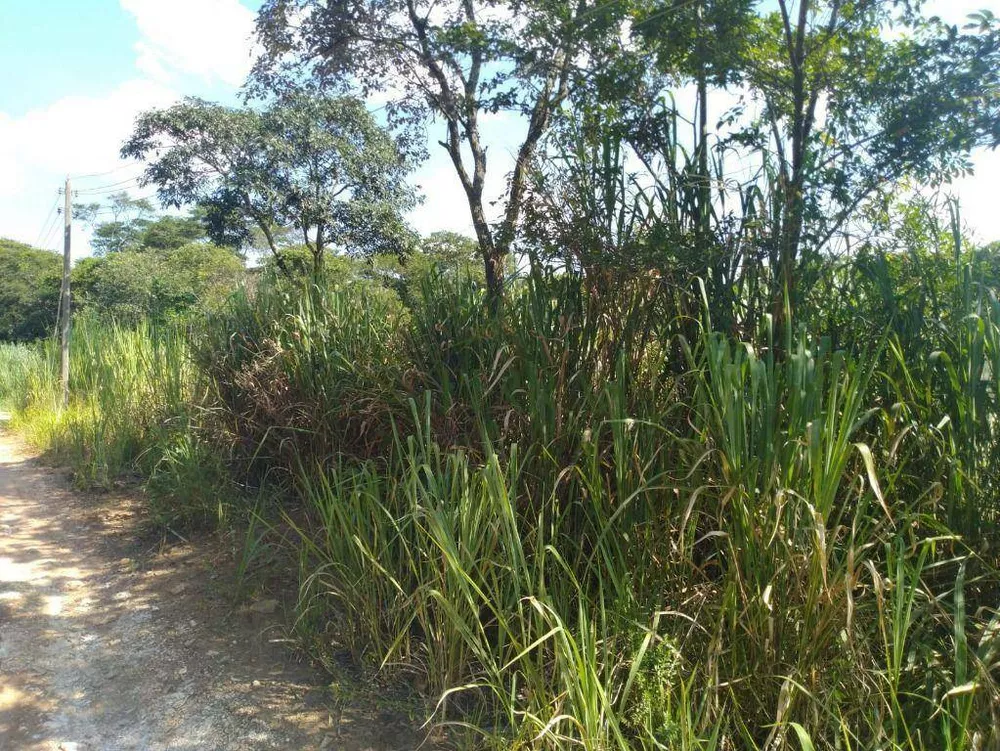 Loteamento e Condomínio, 1 hectares - Foto 2