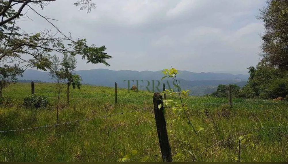 Sítio, 3 hectares - Foto 1