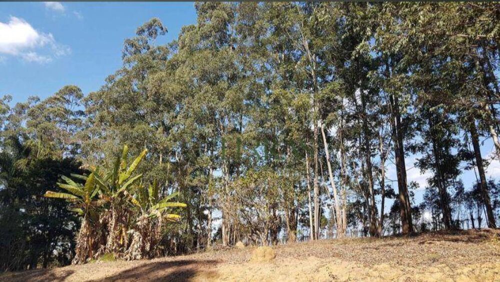 Sítio, 3 hectares - Foto 2