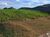 Terreno, 800 m² - Foto 2