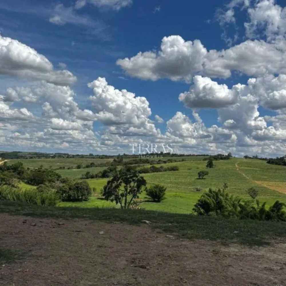 Fazenda, 97 hectares - Foto 8