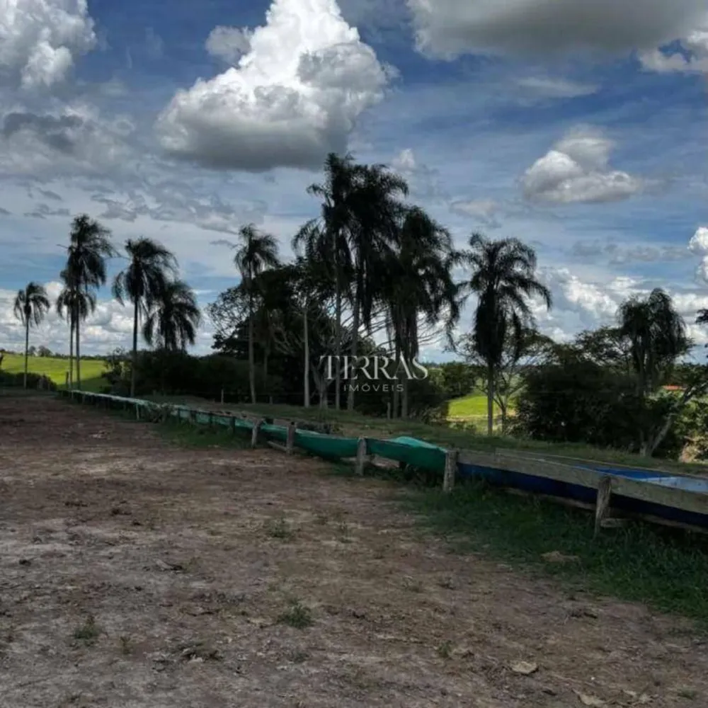Fazenda, 97 hectares - Foto 7