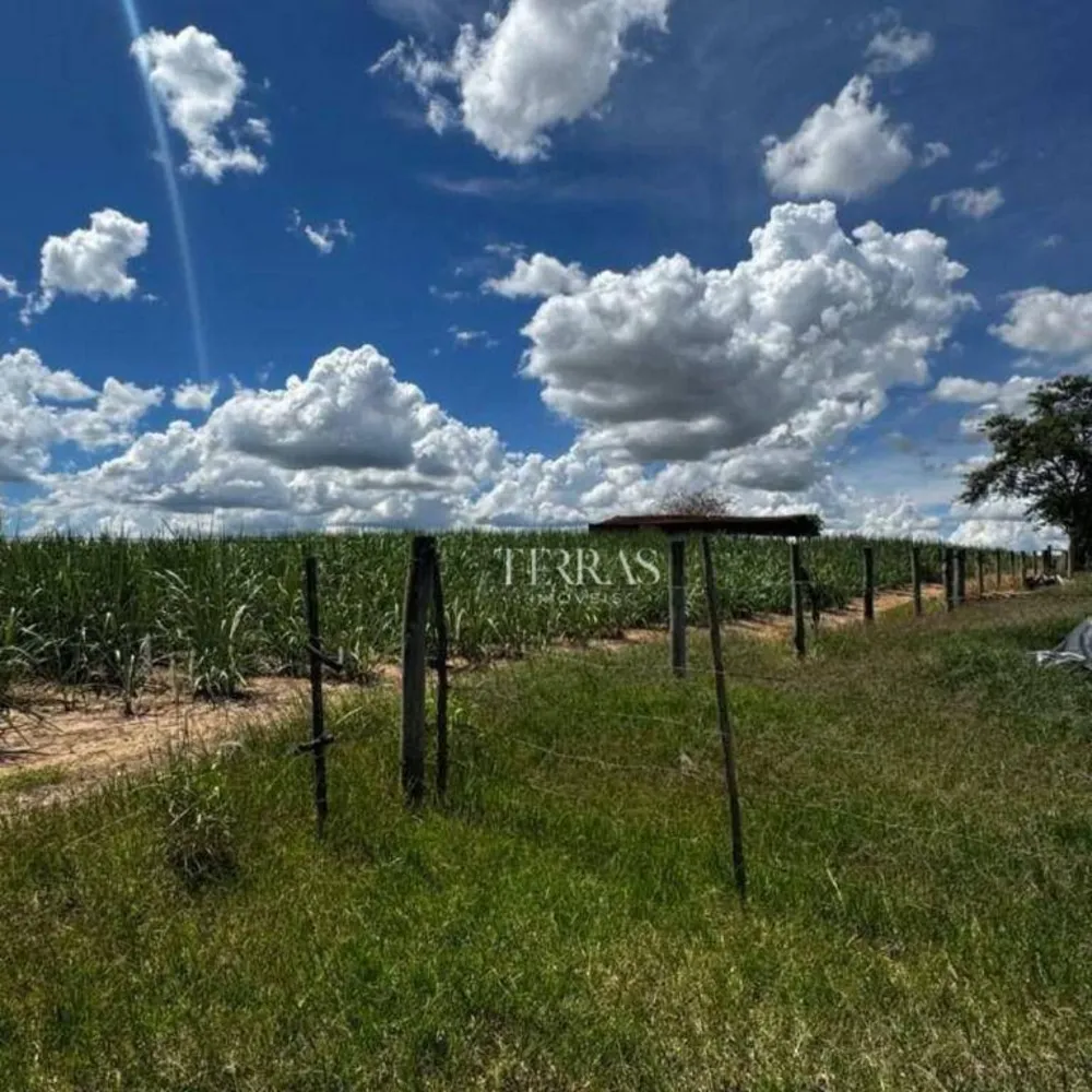 Fazenda, 97 hectares - Foto 4