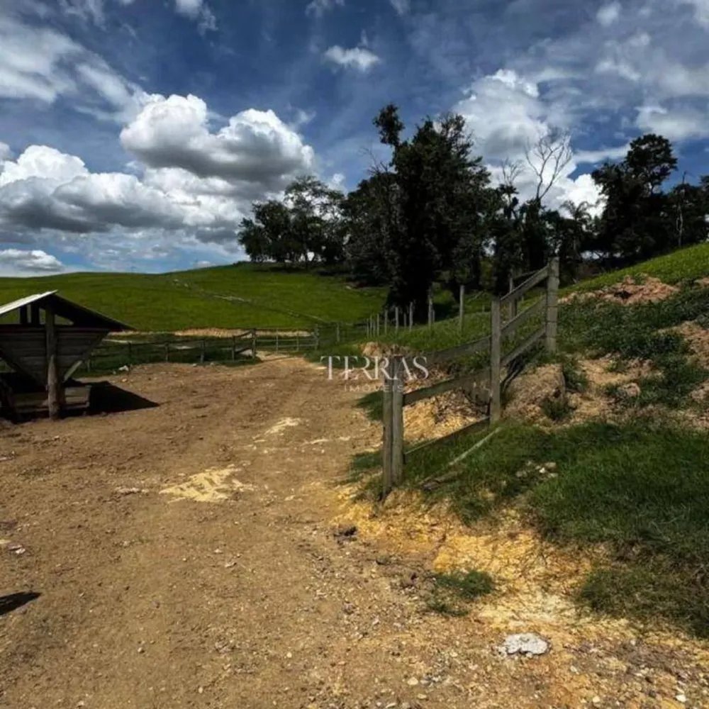 Fazenda, 97 hectares - Foto 6